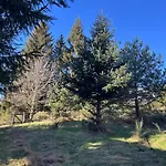 Confort Avec Cheminee בקתה Saint-Sauveur-Camprieu
