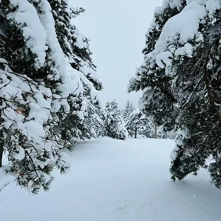 Confort Avec Cheminée Chalet Saint-Sauveur-Camprieu