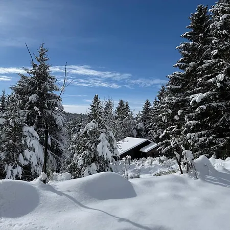 Confort Avec Cheminée Chalet