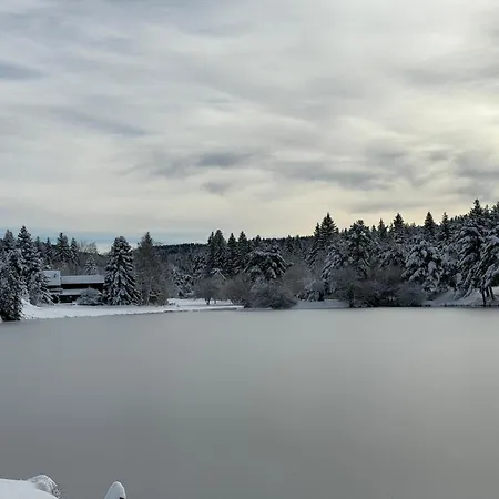 Confort Avec Cheminée * Saint-Sauveur-Camprieu