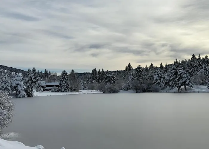 Confort Avec Cheminee 木屋 *