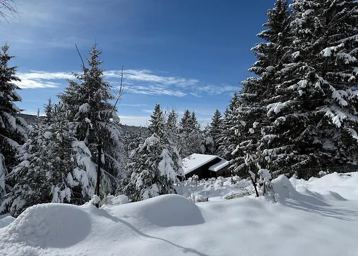 木屋 Confort Avec Cheminee *