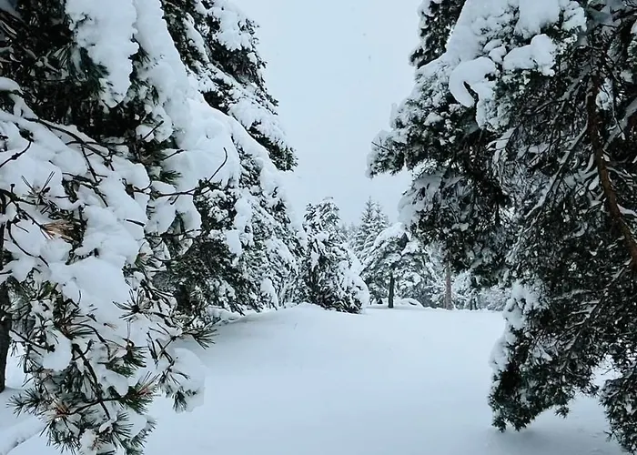 Confort Avec Cheminee 木屋 Saint-Sauveur-Camprieu