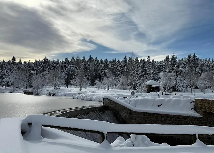 木屋 Confort Avec Cheminee